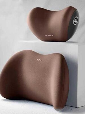 COUSSIN LOMBAIRE ET COU